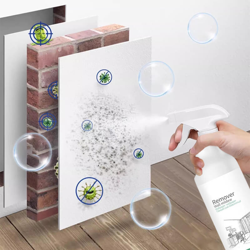 Schimmelentfernungsspray