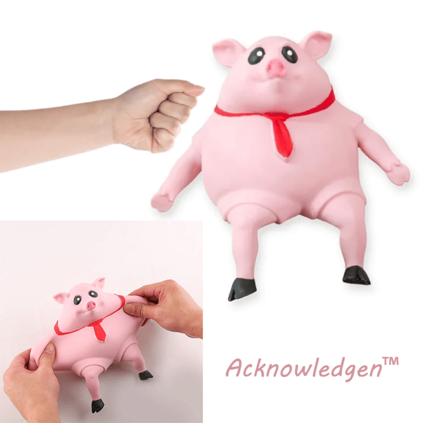 Schweinchen Squeeze Toy | Acknowledgen