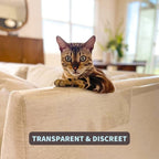 🔥 49% Rabatt auf den Kratzschutz von Möbeln