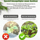 Botanische Auferstehungsflüssigkeit