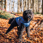 🐶WINTER SALE🐾Wasserdichter Warmer Multifunktionaler Hundemantel
