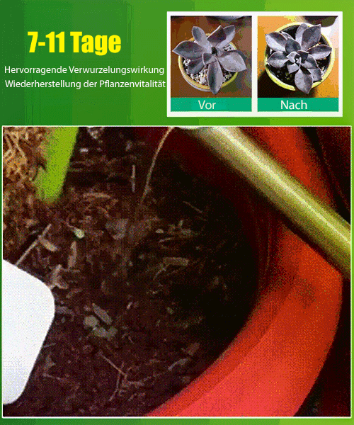 Botanische Auferstehungsflüssigkeit