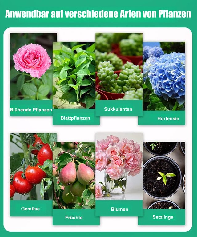 Botanische Auferstehungsflüssigkeit