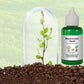 Botanische Auferstehungsflüssigkeit